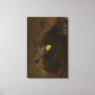 Looking Out Canvas Print