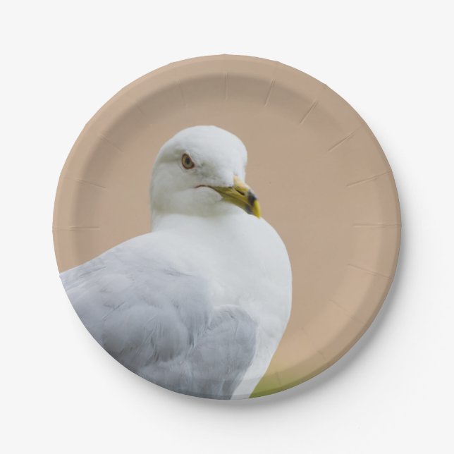 Looking Out Paper Plate (Front)