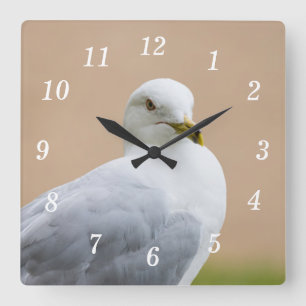 Looking Out Wall Clock