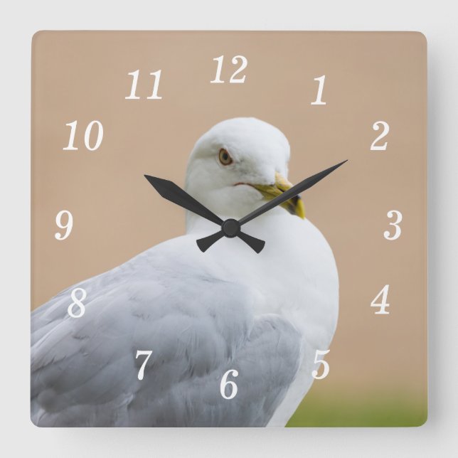 Looking Out Wall Clock (Front)