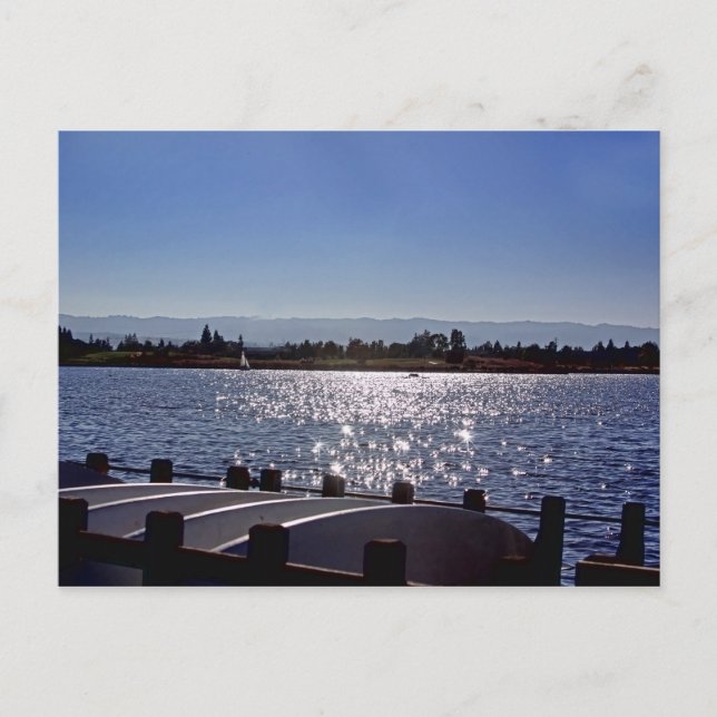 Looking Shoreline Lake before sunset, postcard (Front)