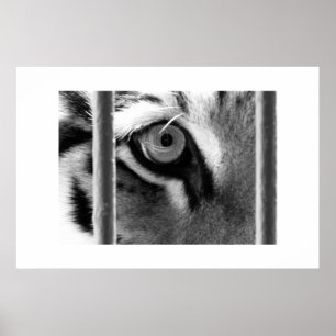 looking through poster