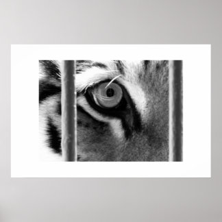 looking through poster