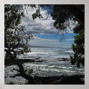 Looking Through The Window Poster