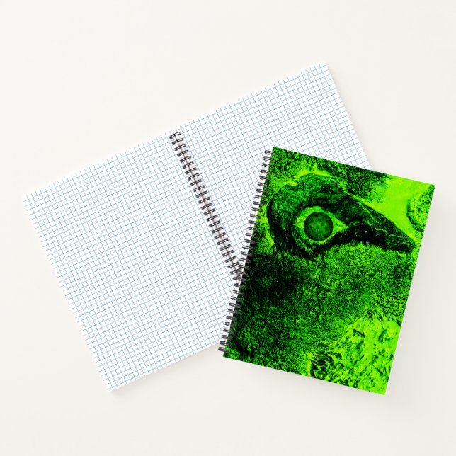 looking to green notebook (Inside)