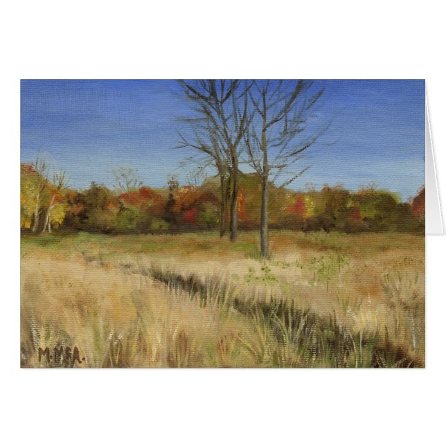 "Looking to the Edge of Nowhere" (Front Horizontal)