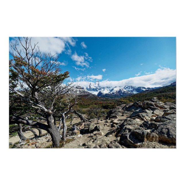 Looking towards Mt Fizroy Poster (Front)