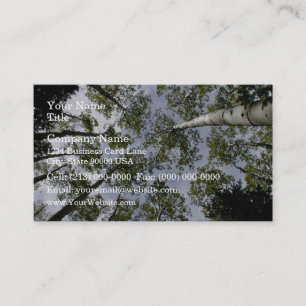 Looking Up at Aspen Trees in forest Business Card