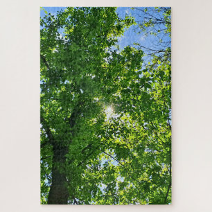Looking Up at Green Leaves and Blue Sky - Romania Jigsaw Puzzle