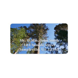 Looking Up at Mariposa Grove Label