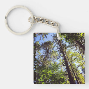 Looking up at the Trees Key Ring