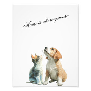 Looking Up at You – Home Is Where You Are Photo Print