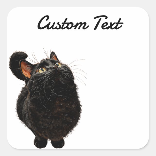 Looking Up Cat -4 | Personalized Custom Text Square Sticker (Front)