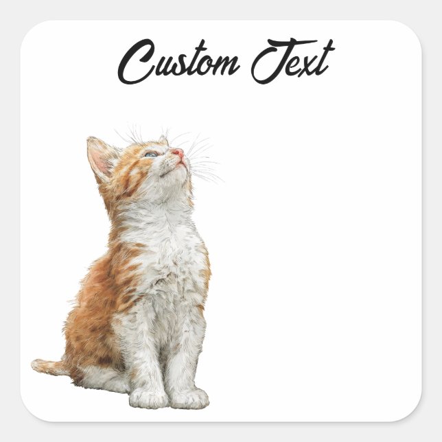 Looking Up Cat | Personalized Custom Text Square Sticker (Front)