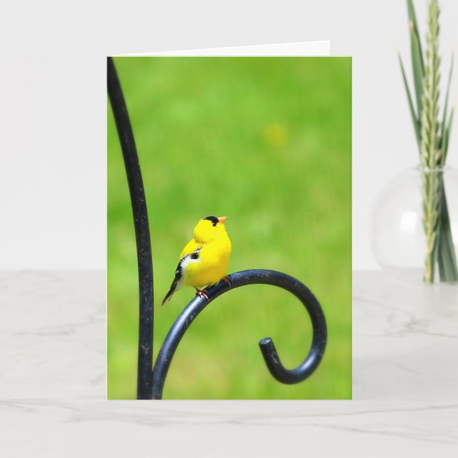 Looking Up Greeting Card (Front)