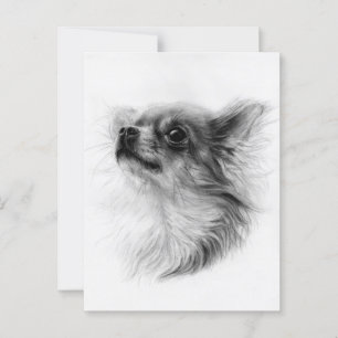 Looking Up - Hand Painted Chihuahua Portrait Postcard