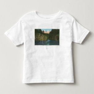 Looking up Long Rapids from the Flume Toddler T-Shirt