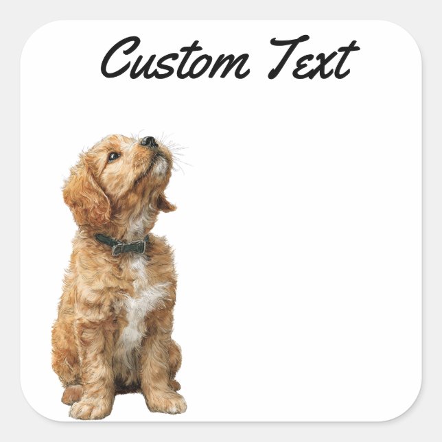 Looking Up Puppy-3 | Personalized Custom Text Square Sticker (Front)