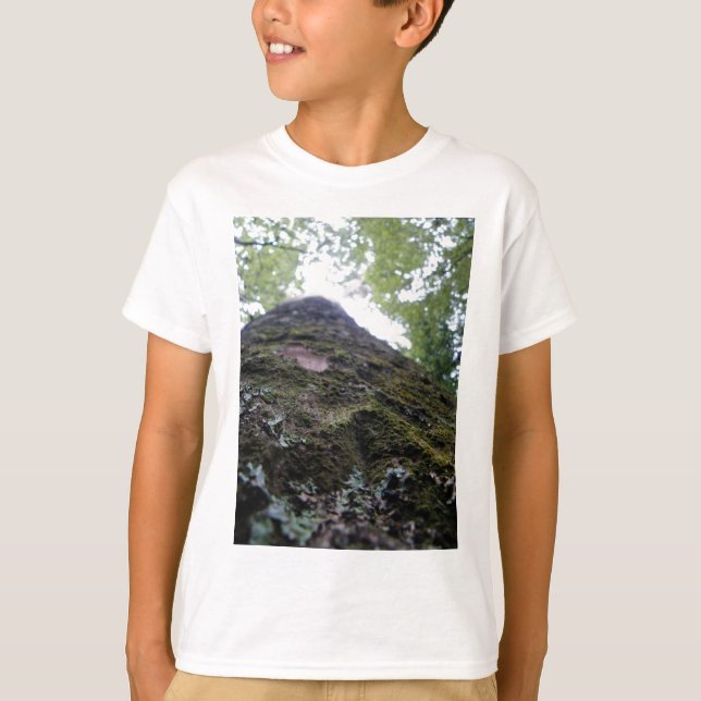 Looking Up the Kauri T-Shirt (Front)