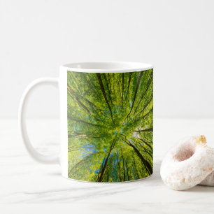 Looking up through green tree leaves coffee mug