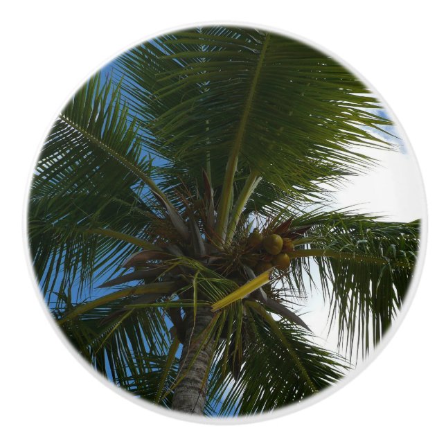 Looking Up to Coconut Palm Tree Tropical Nature Ceramic Knob (Front)