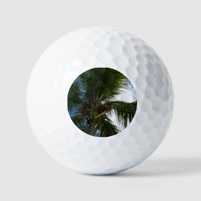 Looking Up to Coconut Palm Tree Tropical Nature Golf Balls (Front)