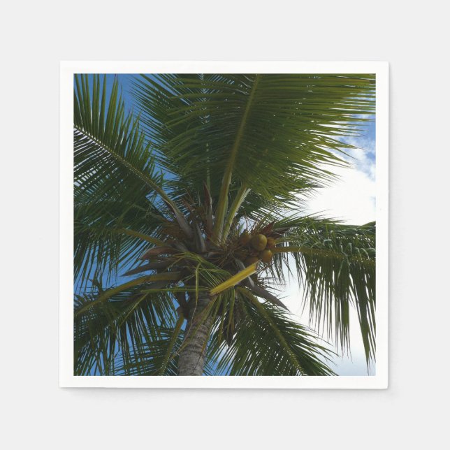 Looking Up to Coconut Palm Tree Tropical Nature Napkin (Front)