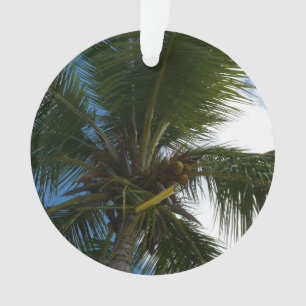 Looking Up to Coconut Palm Tree Tropical Nature Ornament