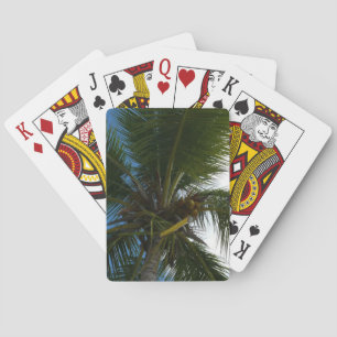 Looking Up to Coconut Palm Tree Tropical Nature Playing Cards
