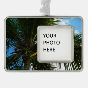 Looking Up to Coconut Palm Tree Tropical Nature Silver Plated Framed Ornament