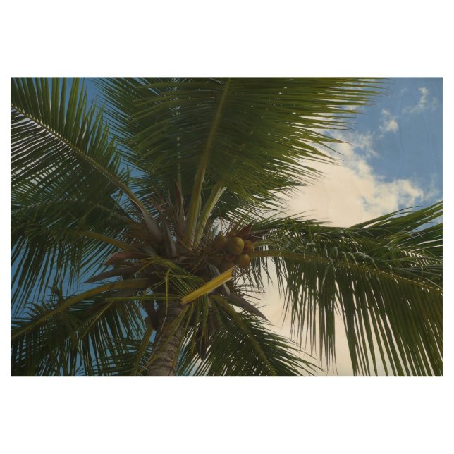 Looking Up to Coconut Palm Tree Tropical Nature Wood Poster (Front)