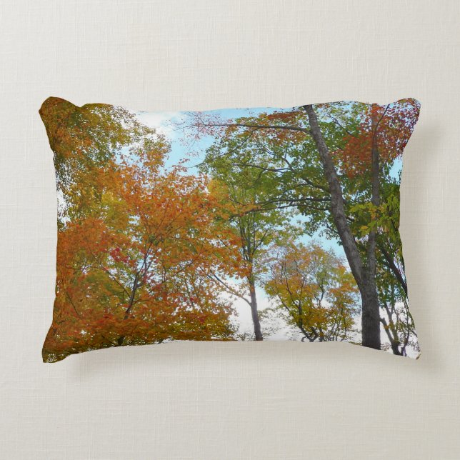 Looking Up to Fall Leaves I Colourful Fall Foliage Decorative Cushion (Front)