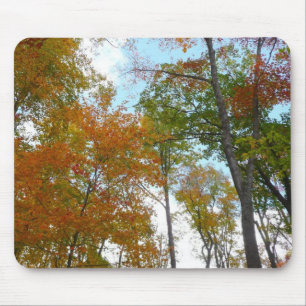 Looking Up to Fall Leaves I Colourful Fall Foliage Mouse Mat