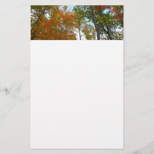 Looking Up to Fall Leaves I Colourful Fall Foliage Stationery (Front)