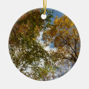Looking Up to Fall Leaves II Autumn Nature Ceramic Tree Decoration