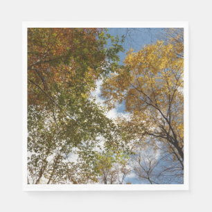 Looking Up to Fall Leaves II Autumn Nature Napkin