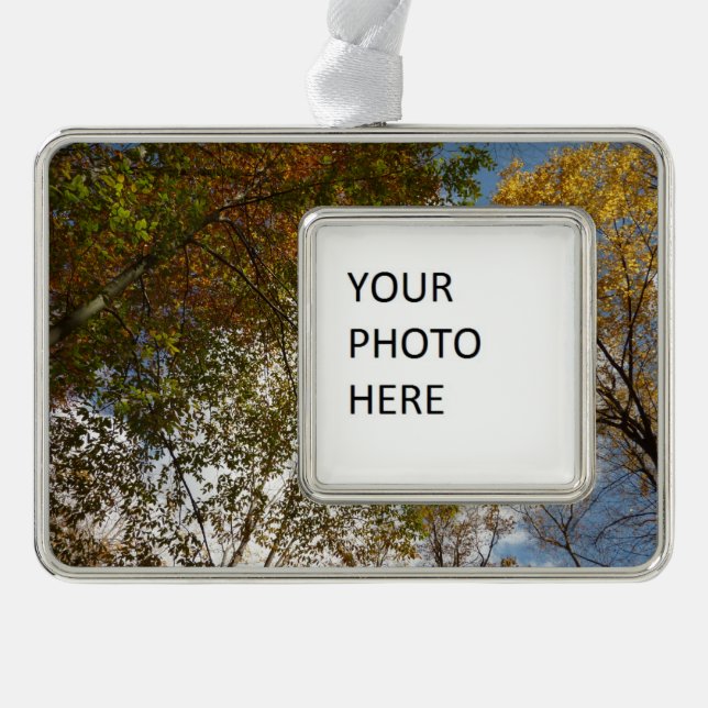 Looking Up to Fall Leaves II Autumn Nature Silver Plated Framed Ornament (Front)