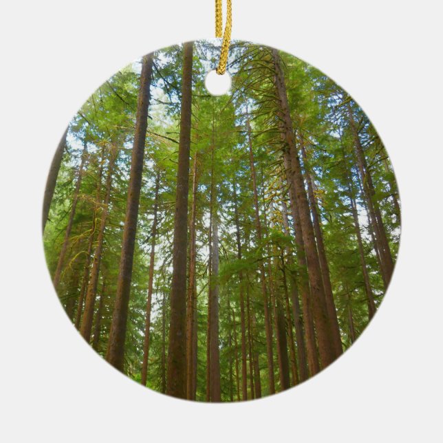 Looking Up to Old Growth Forest Ceramic Tree Decoration (Front)