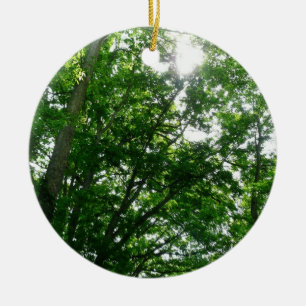 Looking Up to Summer Trees Ceramic Tree Decoration