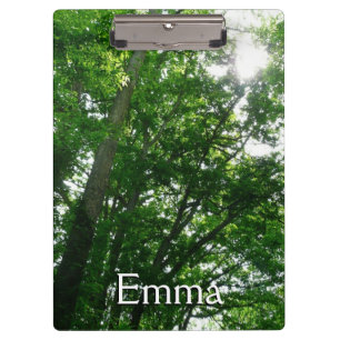 Looking Up to Summer Trees Clipboard
