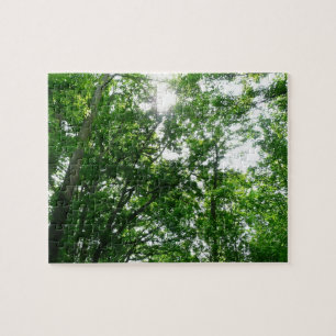 Looking Up to Summer Trees Jigsaw Puzzle