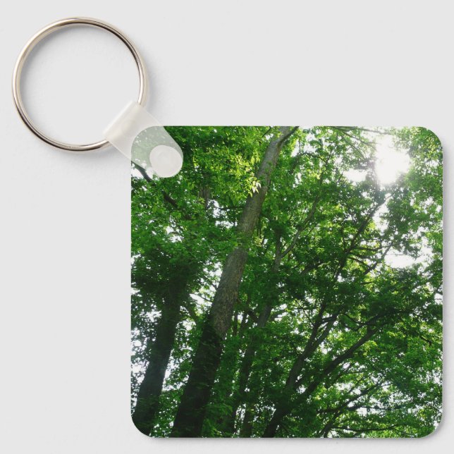 Looking Up to Summer Trees Key Ring (Front)