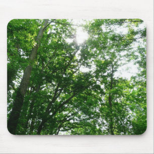 Looking Up to Summer Trees Mouse Mat
