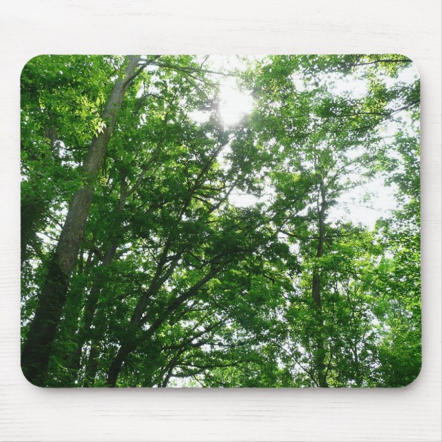 Looking Up to Summer Trees Mouse Mat (Front)