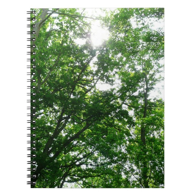 Looking Up to Summer Trees Notebook (Front)