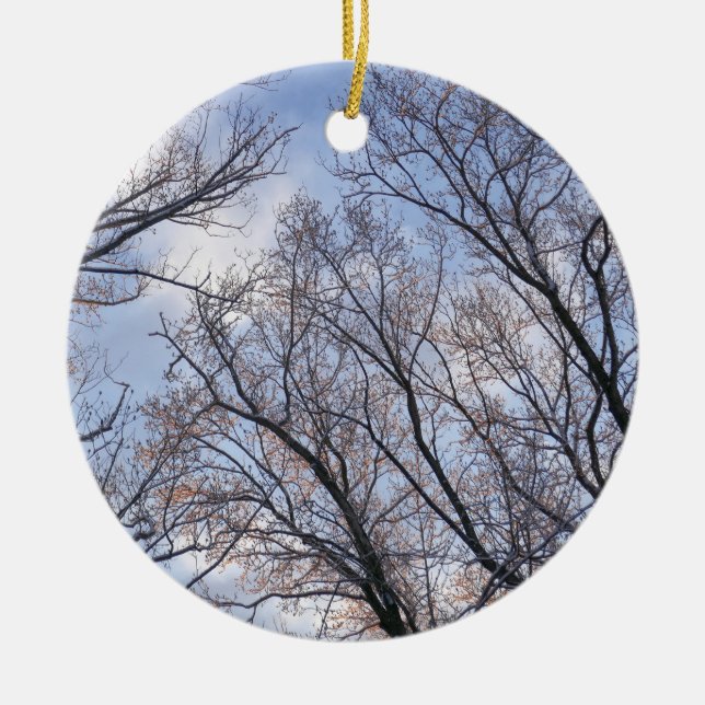 Looking Up to Winter Morning Trees Ceramic Tree Decoration (Front)