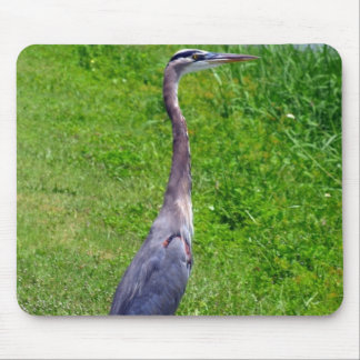 Lookout Bird Mouse Mat