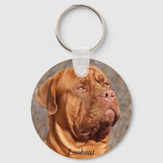 Lookout Key Ring