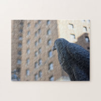 Lookout Owl Herald Square Manhattan New York City