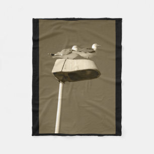 Lookout Post Lanzarote Tint Vertical Sticker  Fleece Blanket